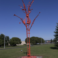 Photograph of The Wishing Tree - AO-00016-002.jpg