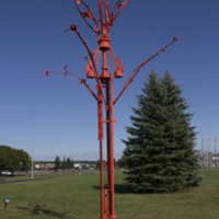 Photograph of The Wishing Tree - AO-00016-003.jpg