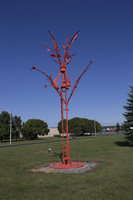 Photograph of The Wishing Tree - AO-00016-002.jpg